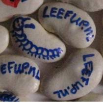 12376841_10153784584049342_4325213238065836854_n