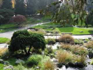 Chinese garden Torino